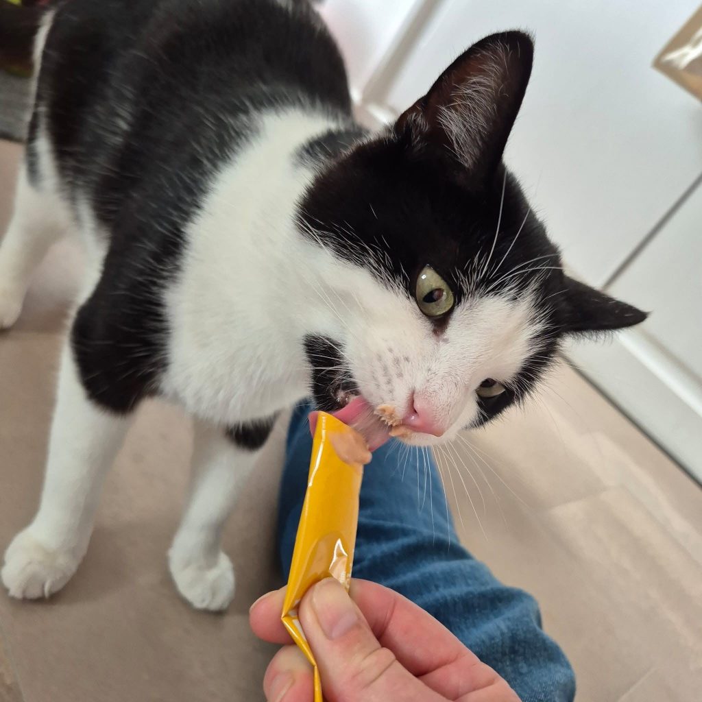 Fergus2